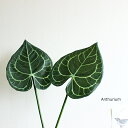 アンスリウムリーフ Anthurium 造花 フェイクグリーン フェイクフラワー