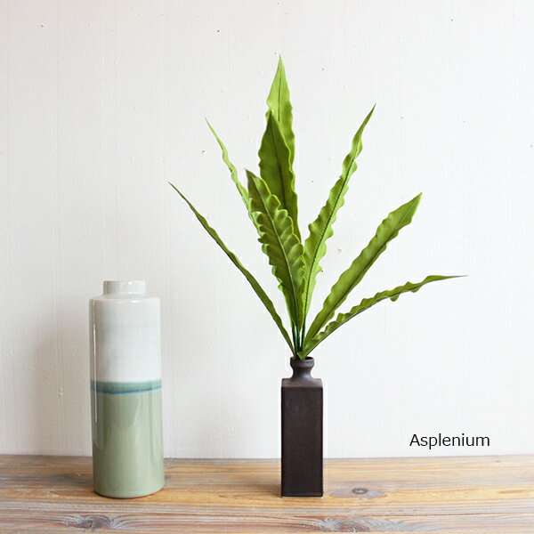 ファーンリープブッシュ アスプレニウム Asplenium 造花 フェイクグリーン