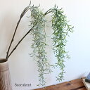 サッカランバイン 造花 フェイクグリーン 観葉植物 多肉植物