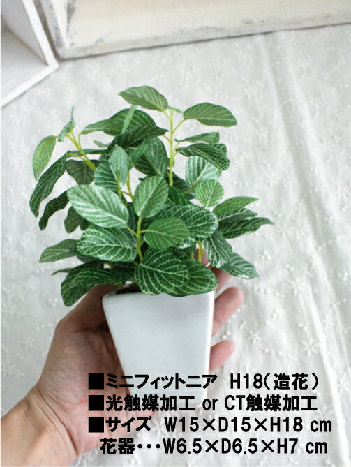 観葉植物 造花 ギフト お祝い 開店 開業 おしゃれ 鉢 Ct触媒 フェイクグリーン 光触媒 おすすめ 18cm 91 以上節約 ミニフィットニア 観葉植物 造花 ギフト お祝い 開店 開業 おしゃれ 鉢 Ct触媒 フェイクグリーン 光触媒 おすすめ 18cm 91 以上節約 ミニフィットニア