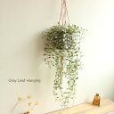 グレーリーフハンギング グレーバスケット 90cm 造花 観葉植物 インテリア 消臭 CT触媒 フェイクグリーン 壁掛け ハンギンググリーン