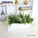 寄せ植えグリーンアレンジ W40cm 造