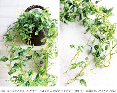 Tradescantia*トラディスカンティアハンギング*グリーン造花光触媒CT触媒