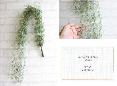 スパニッシュモス*チランドシア/ウスネオイデス【造花】【未触媒】40995