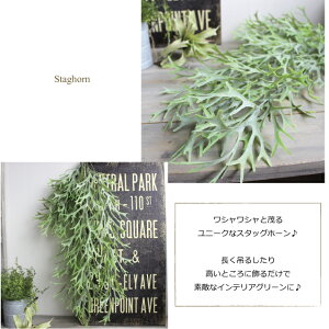 スタッグホーンバイン・ライトグリーン*Staghorn*コウモリラン*ビカクシダ造花インテリア観葉植物CT触媒フェイクグリーン