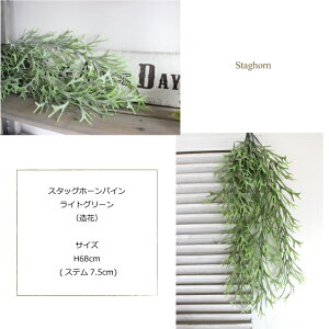 スタッグホーンバイン・ライトグリーン*Staghorn*コウモリラン*ビカクシダ造花インテリア観葉植物CT触媒フェイクグリーン