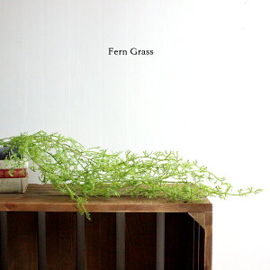 ファーングラスハンギング人工観葉植物造花インテリアミニ壁掛け壁CT触媒フェイクグリーン葉っぱ消臭花おしゃれリアルカフェ玄関リビングキッチン