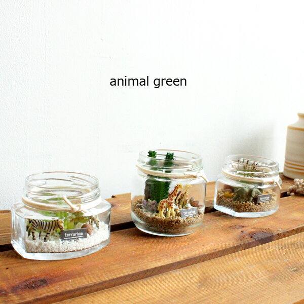 楽天フェイクグリーンのお店 mintcafe【売り切りセール】animal green テラリウム （シマウマ キリン ゾウ）造花 アレンジ フェイクグリーン アニマル 動物 フィギア