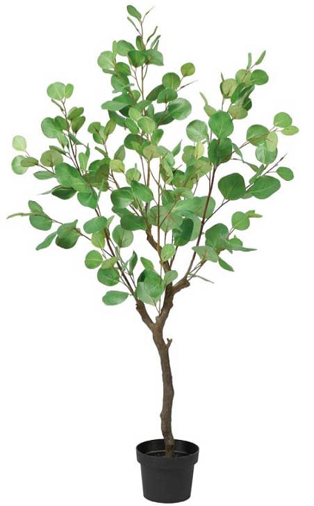【SALE 数量限定】asca 観葉植物 ユーカリ 118cm ポット付 造花 (通常価格 18700円) フェイクグリーン 人工観葉植物 ディスプレイ 装飾 空間美 リアル