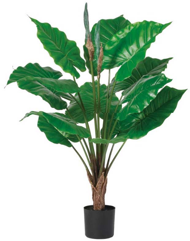 ��SALE ���̸����asca ���տ�ʪ ���������� 93cm �ݥå��� ¤�� (�̾���� 15400��) �ե��������꡼�� �͹����տ�ʪ �ǥ����ץ쥤 ���� ...