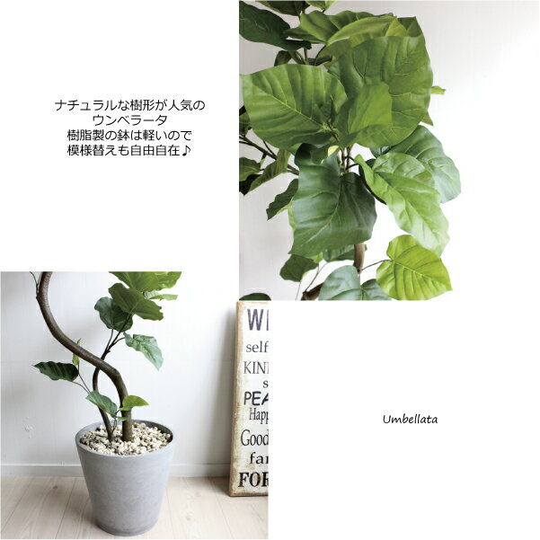 ウンベラータ155cm造花観葉植物フェイクグリーン大型送料無料