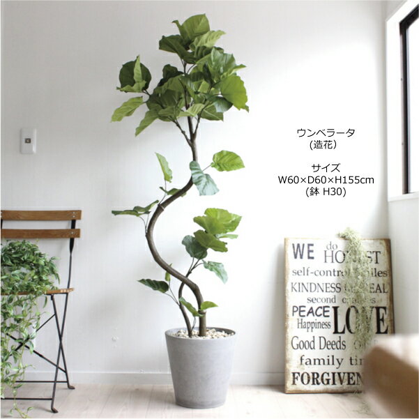 ウンベラータ155cm造花観葉植物フェイクグリーン大型送料無料