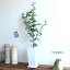 ユーカリ グリーン 70cm 造花 観葉植物 インテリア 人工観葉植物 大型 フェイクグリーン 送料無料 (北海道 沖縄 離島 送料別途)開店祝い 引越し祝い 新築祝い お祝い モダン 室内 会社 事務所 自宅 飾り ギフト おしゃれ