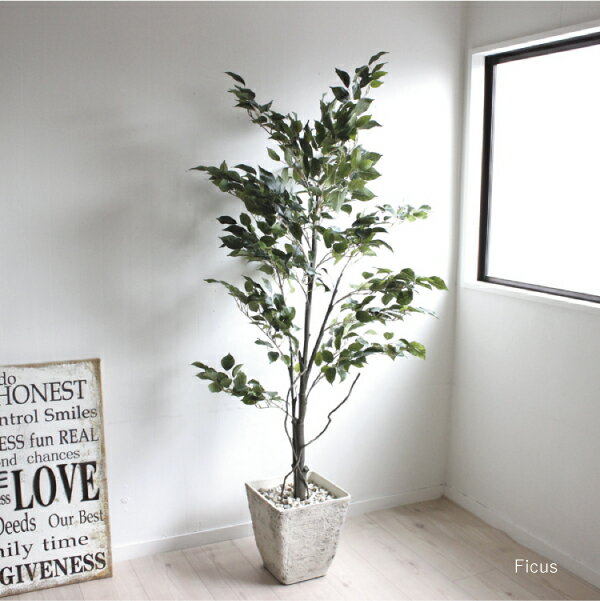 観葉植物 フィカスツリー ジャンク 160cm 造花 インテリア Ct触媒 シャビー ハンギング 大型 フェイクグリーン 送料無料 北海道 東北 沖縄 有料 フェイクグリーンのお店 Mintcafe Mintcafe Original