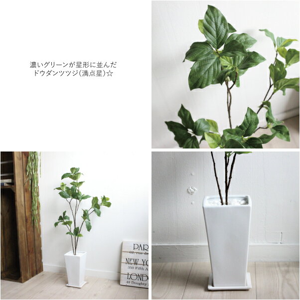 楽天市場 特別価格 満点星 ドウダンツツジ 75cm 四角白鉢 皿付 K 79 造花 観葉植物 インテリア フェイクグリーン 人工観葉植物 大型 Ct触媒重要 北海道 沖縄 送料別途 1500円開店祝い 引越し祝い 新築祝い お祝い 会社 事務所 飾り ギフト フェイクグリーンのお