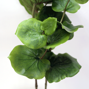 【送料無料C】観葉植物シーグレープH80【造花】【観葉植物】【光触媒/CT触媒】