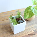 サイ animal green 造花 アレンジ アニマル 消臭 CT触媒 造花 観葉植物 フェイクグリーン CT触媒 消臭 インテリア フェイクフラワー グリー...