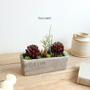 多肉植物 rectangle garden 多肉植物 造花 CT触媒 フェイクグリーン グリーンインテリア リアル リゾートインテリア アーティフィシャルグリー...