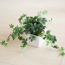 L.シュガーバイン シサスアイビー 造花 フェイクグリーン 人工観葉植物 消臭 光触媒 CT触媒 ナチュラル グリーンインテリア リアル インテリア雑貨 オブジェ カフェ ナチュラル ディスプレイ装飾ギフト 贈り物 お祝い 開店 開業 おすすめ
