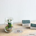 【売り切りセール】テラリウム mini ミニ ボトル Terrarium 多肉植物 フェイクグリーン 造花 インテリア