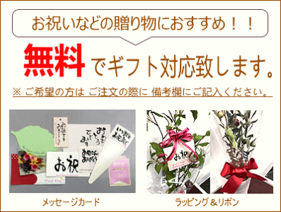 L.シサスアイビーシュガーバイン造花インテリアミニフェイクグリーン観葉植物人工観葉植物消臭光触媒CT触媒花アレンジおしゃれリアルカフェ玄関リビングキッチン