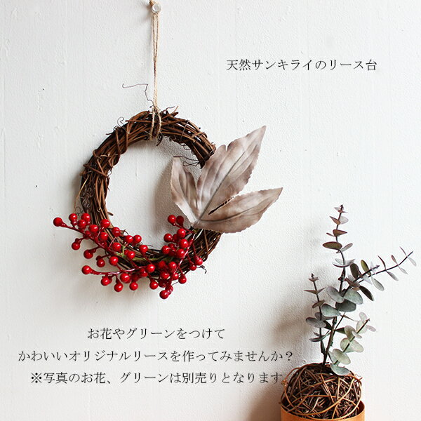 【売り切り SALE】【お買い得価格】ヒゲサンキライリース15cm ドライフラワーリース台サンキライヒゲつき