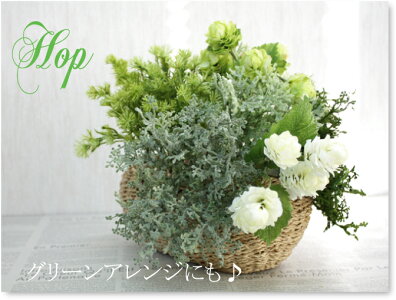 ホップピック・ホワイト♪1本【造花・未触媒】