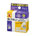 【本日ポイント5倍 GW最終日セール！】 （まとめ）ニチバン スキナゲート メッシュ25mm×7m SGM257 1巻【×5セット】