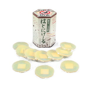 【ポイント6倍!】 鳩よけ 鳩忌避剤 10個入り 日本製 はとにげ〜る 鳥被害 鳩の糞対策 ベランダ バルコニー ウッドデッキ 軒下 屋根