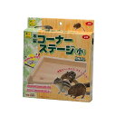 【タイムSALE ポイント5倍】 (まとめ)木製コーナーステージ 小【×3セット】 (小動物用品/玩具)