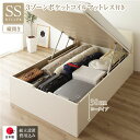 【タイムSALE ポイント5倍】 〔組立設置サービス付き〕 収納 ベッド 通常丈 セミシングル 跳ね上げ式 縦開き 深さ30cm ロータイプ 3ゾーンポケットコ...
