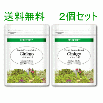 【ネコポスで送料無料】 ECLECTIC(エクレクティック) イチョウ Ecoパック(15カプセル) 2個セット 【ECLECTIC(エクレクティック)】 エコパック ec020