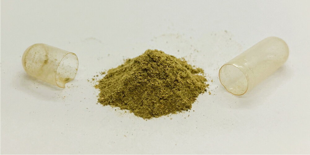 ECLECTIC(�����쥯�ƥ��å�) ���꡼�֥꡼�� Eco�ѥå�(45���ץ���) �ϡ��֥��ץ���� ec531