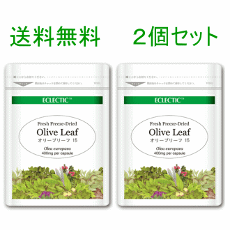 Rakuten - 【ネコポスで送料無料】ECLECTIC(エクレクティック) オリーブリーフ Ecoパック(15カプセル) 2個セット 【ECLECTIC(エクレクティック)】 エコパック ec530