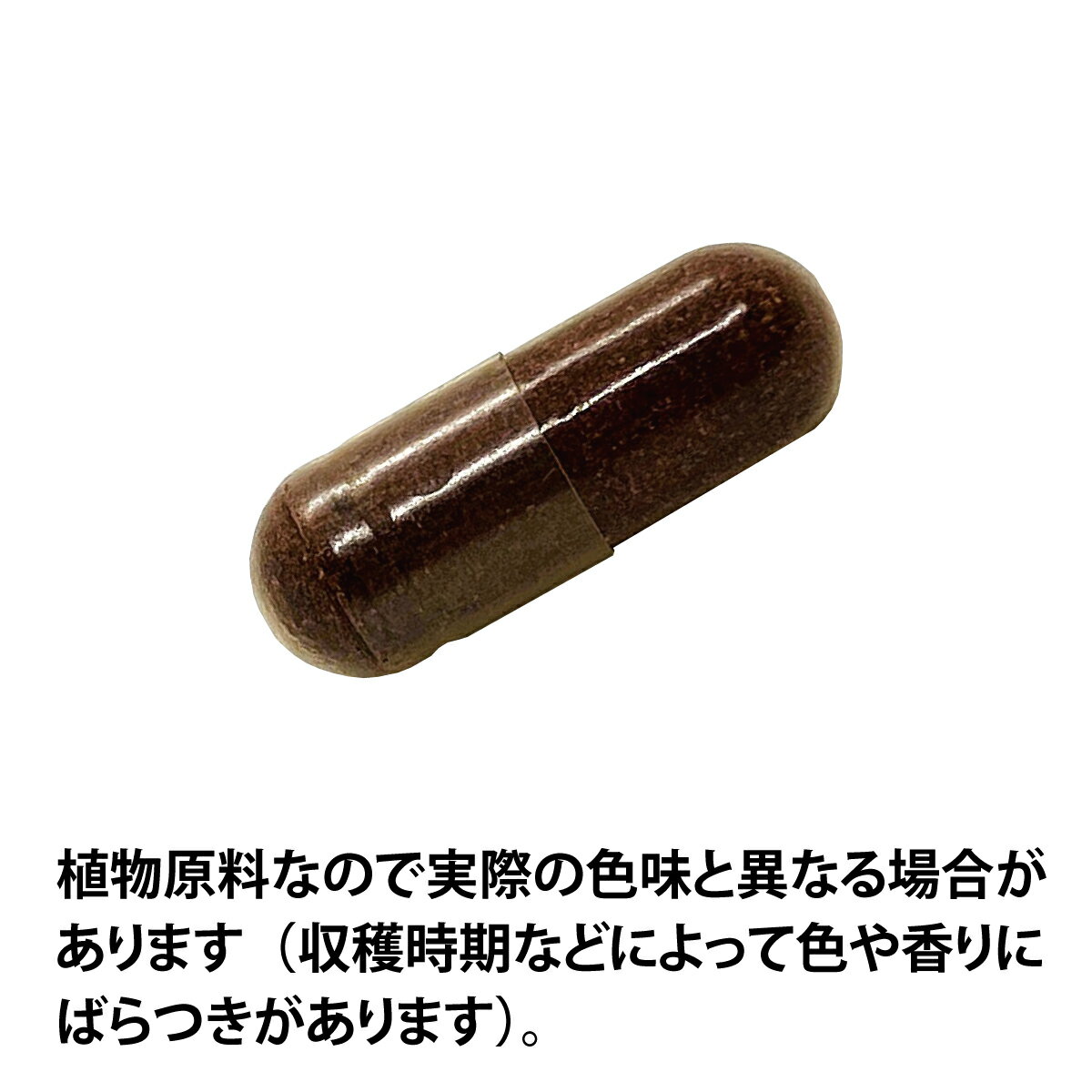 �ڥͥ��ݥ�������̵����ECLECTIC(�����쥯�ƥ��å�) ����������顼�� Eco�ѥå� (15���ץ���)��ECLECTIC(�����쥯�ƥ��å�)��R ec810