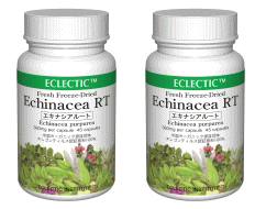 【送料無料】風邪の季節にECLECTIC(エクレクティック)エキナシア(ムラサキバレンギク) RT(根)45カプセル【2本セット】 e041-2