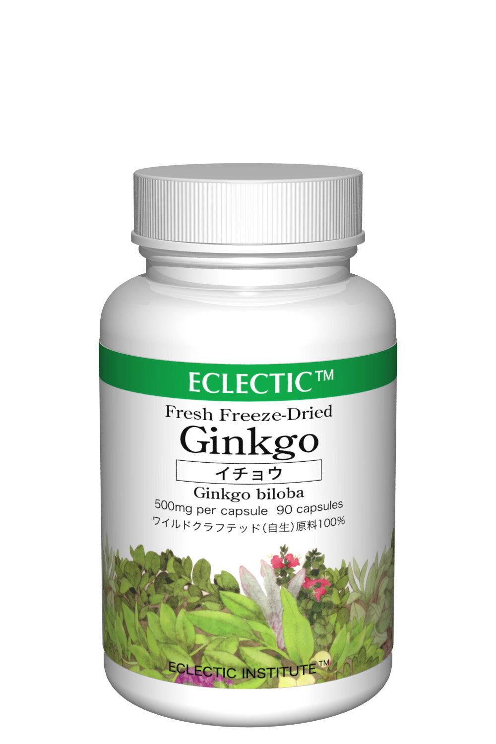 ECLECTIC(エクレクティック) イチョウ (90カプセル) ハーブサプリメント e024