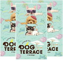 【ネコポスで送料無料】DOG TERRACE ド