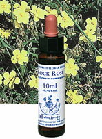 【ネコポスで送料無料】Healing Herbs No.1 ロックローズエキス 10ml[HealingHerbs(ヒーリングハーブス) フラワーエッセンスヒーリングハーブス]