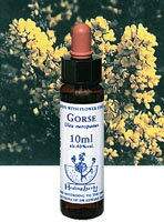 【ネコポスで送料無料】Healing Herbs No.9 ゴースエキス 10ml[HealingHerbs(ヒーリングハーブス) フラ..