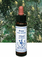 ڥͥݥ̵Healing Herbs No.27 ѥ󥨥 10ml[HealingHerbs(ҡ󥰥ϡ֥) եå󥹥ҡ󥰥ϡ֥]