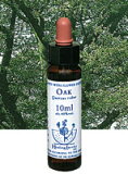 ڥͥݥ̵Healing Herbs No.32  10ml[HealingHerbs(ҡ󥰥ϡ֥) եå󥹥ҡ󥰥ϡ֥]