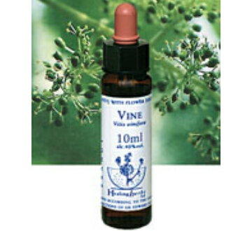 【ネコポスで送料無料】Healing Herbs No.36 ヴァインエキス 10ml HealingHerbs(ヒーリングハーブス) フラワーエッセンスヒーリングハーブス