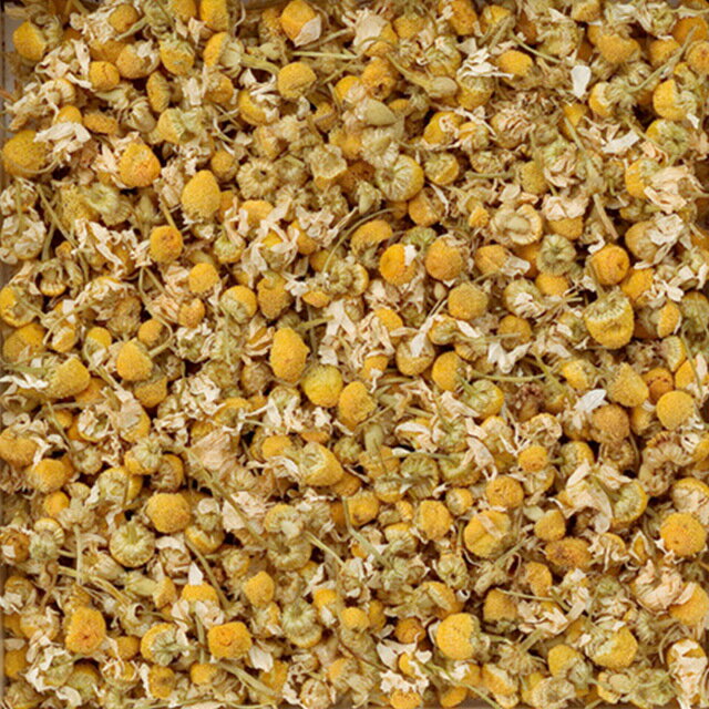 シングルハーブティー カモミールジャーマンEX...の紹介画像2