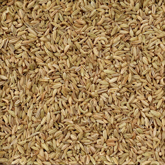 シングルハーブティー フェンネル(ウイキョウ) 1kg 2