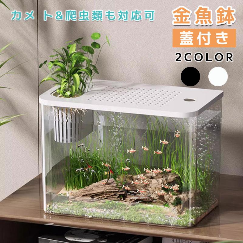 【たかちゃん】メダカ飼育容器 網蓋付き　棚付き bs2608fa36_36.jpg