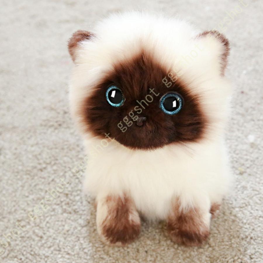 ߥȥ⡼ɤ㤨 ˥ 礭 İ ̤ͤ ǭ  ưʪ ź  դդ ͷ λ ץ쥼 ʪ Ź ƥꥢ åפβǤʤ2,950ߤˤʤޤ