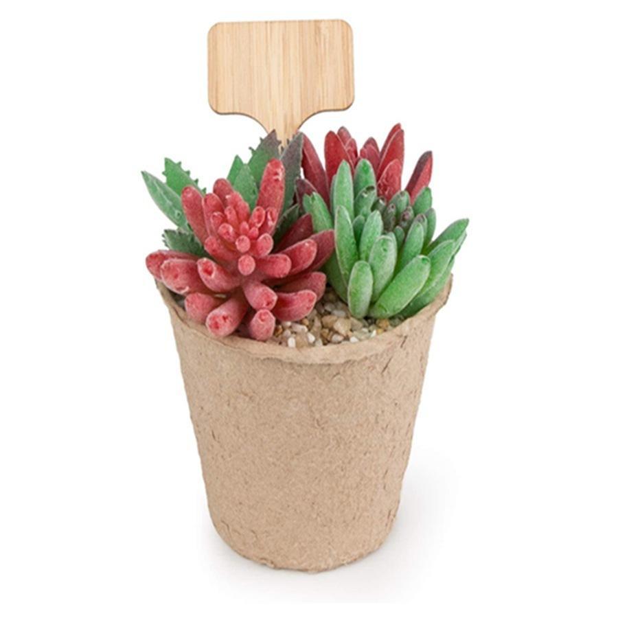 園芸用ラベル 25個セット ガーデニング用品 園芸用品 植物用タグ 木目 木製 ネーム...