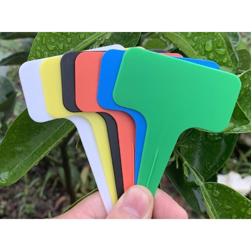 �ե���٥� 50�ĥ��å� ����ѥ�٥� �����ǥ˥� ������� ����ѥ��� ����ȭ �ץ�󥿡� �ץ饹���å� ���˶��� ���襤�� ������� ����