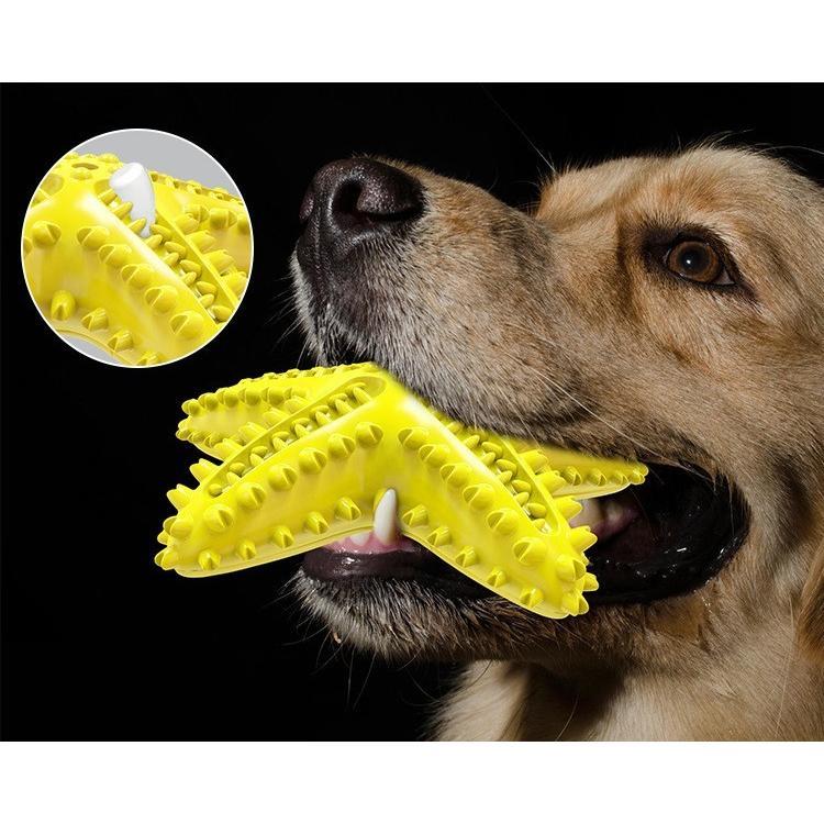 ���Ѥ������ ���Ѵ�� ��С��ȥ� �ɥå��ȥ� �ڥå��Ѥ������ �ڥå��Ѵ�� ���प����� �ҥȥǷ� ���� �������� ���᤭ ū��